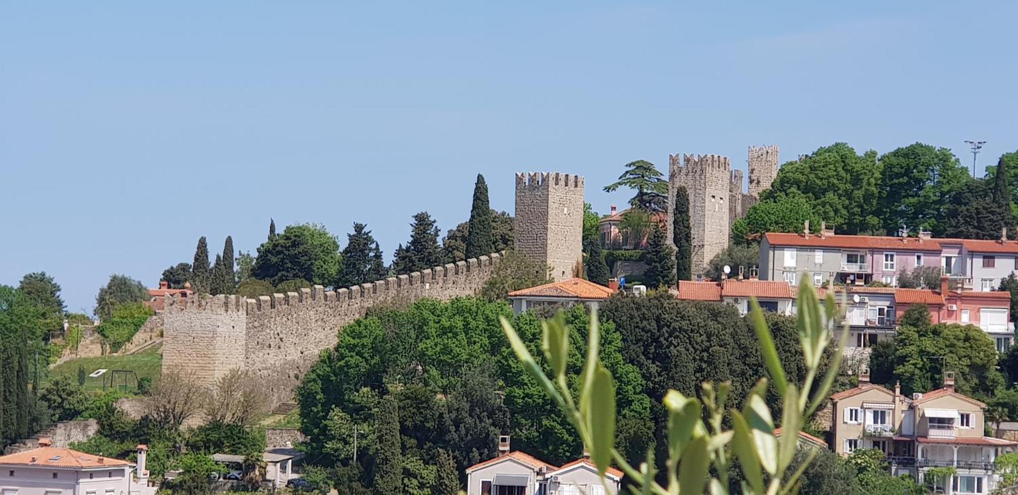Moro 2 * Piran