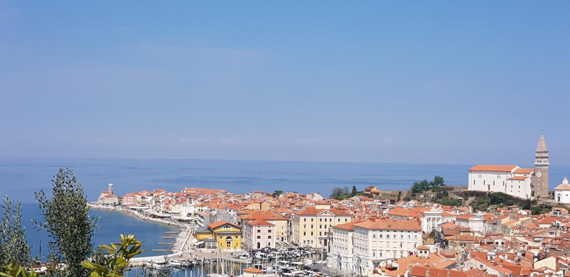Moro 2 Piran